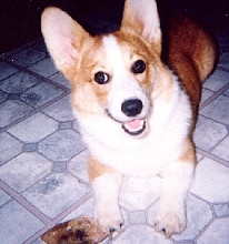 Isnt he cute!