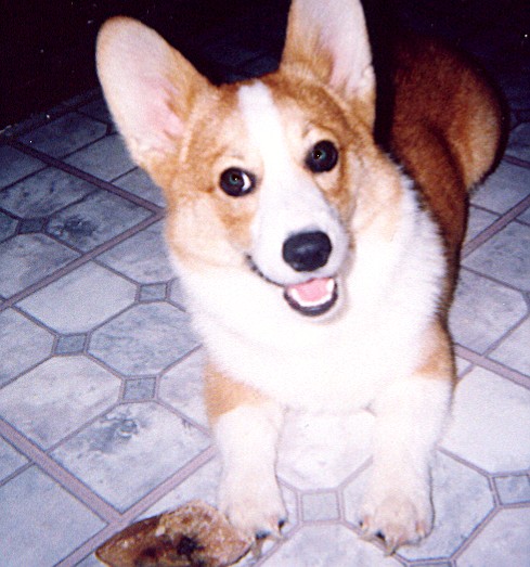 Isnt he cute!