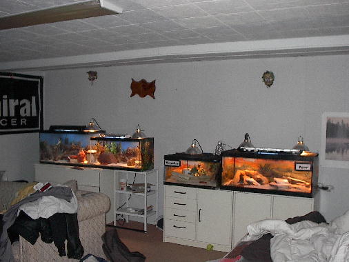 part of my room