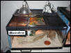 Rayden's tank