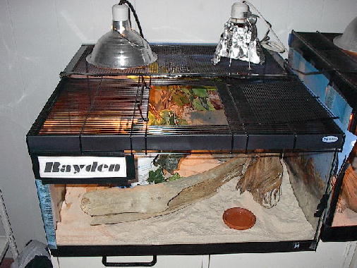 Rayden's tank