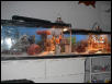 Stryker's tank NEW
