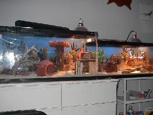 Stryker's tank NEW