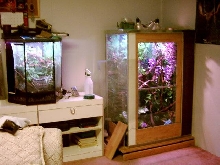 The other part of my room NEW