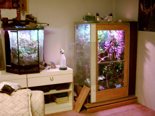 The other part of my room NEW