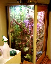 nibbler's new home