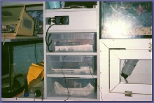 my rack