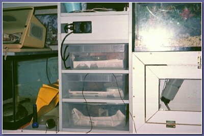 my rack