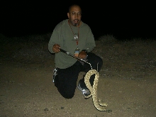 Reako posing with a Mojave Green Rattlesnake