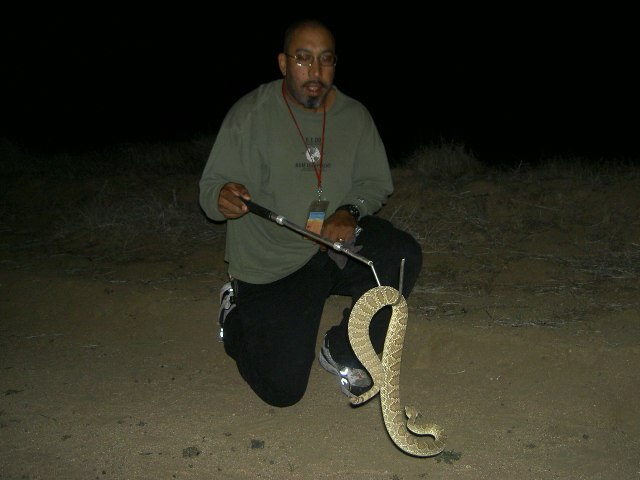 Reako posing with a Mojave Green Rattlesnake