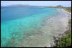 St Thomas iguana region