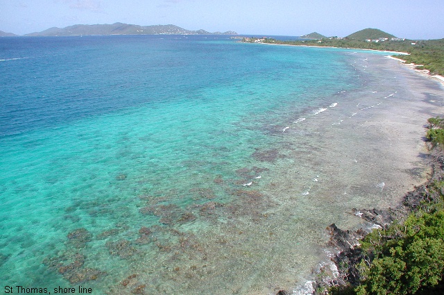 St Thomas iguana region