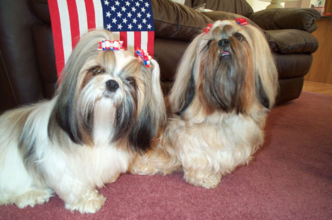 I Luv the USA!