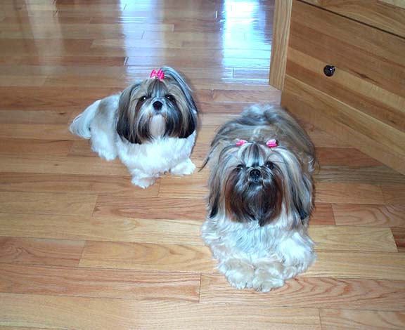 Did somebody say TURKEY!!!!