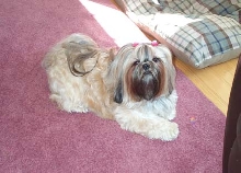 Baby laying down pink bow