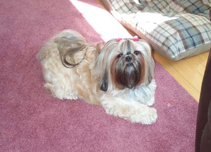 Baby laying down pink bow