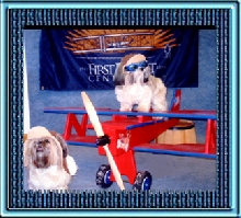 Pilot Baby & Emma