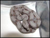 female #24