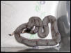 male #45