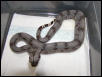 male #35
