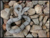 male bolivian outside
