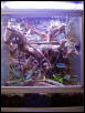 Crested Gecko Enclosure
