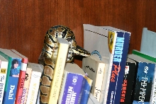 "Escaped" Ball Python