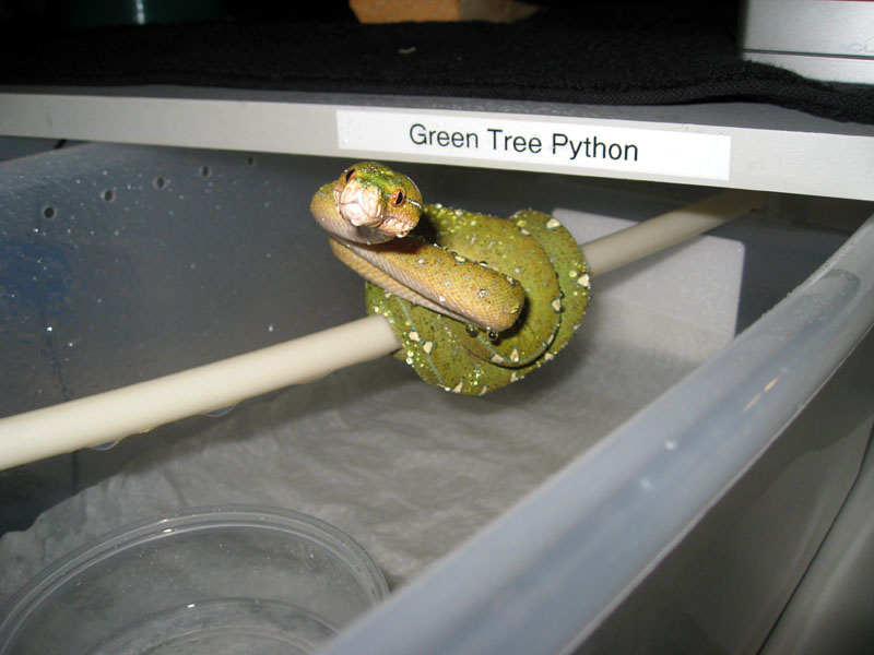 07 Jayapura GTP