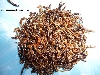 Minimealworms
