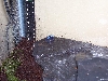 Frog 2