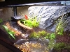 Tank Side