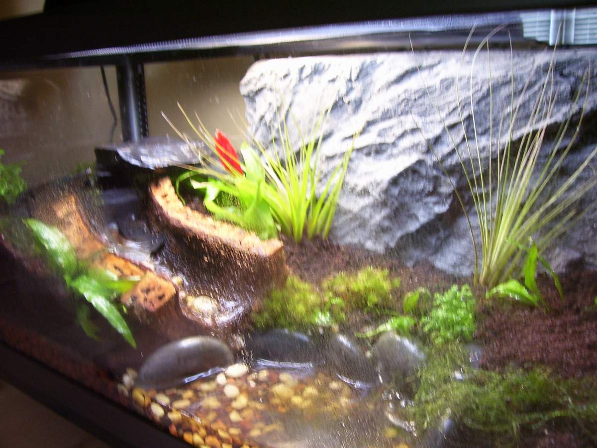 Tank Side