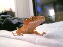 smile!