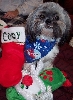 Cody with stocking