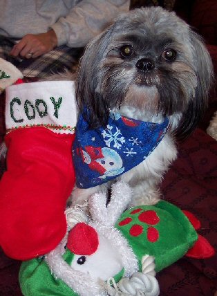 Cody with stocking