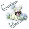 MollyEaster