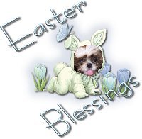 MollyEaster