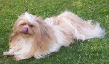 Mitsi1