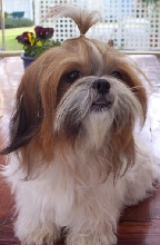 Molly 10th