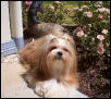 Sunning