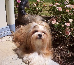 Sunning