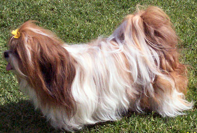 Molly