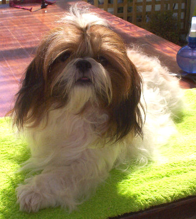 Molly