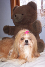 bear