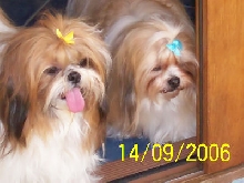 Mitsi and Molly