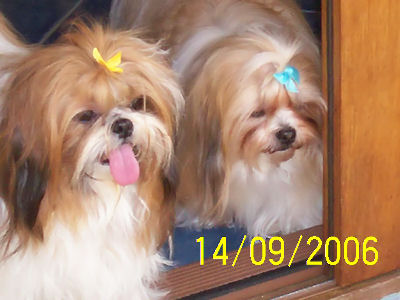 Mitsi and Molly