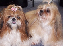 Mitsi and Molly