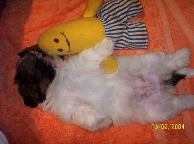 relaxed