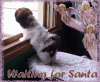 Waiting for Santa