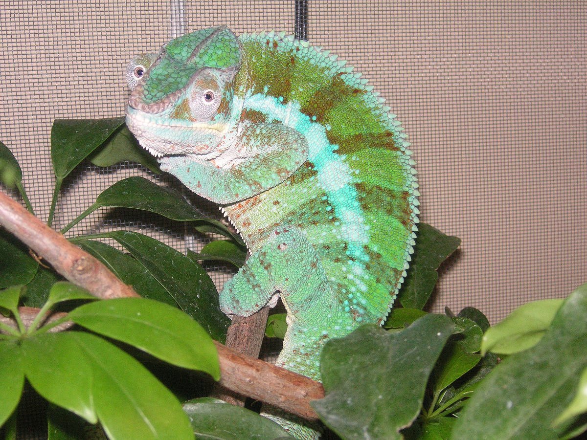 How can ya not love this FACE :0)